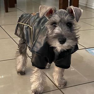 Meet your Posher, Yesenia